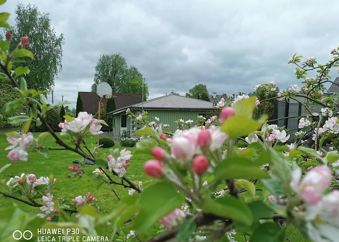 Kaare Viljandi (Viljandimaa)